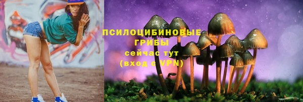 каннабис Майский