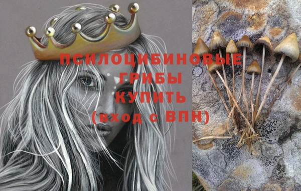 каннабис Майский