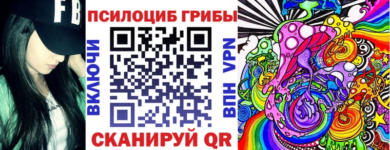 Галлюциногенные грибы Psilocybe  Купить закладки  Вольск 